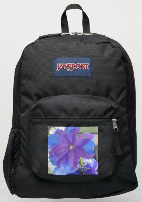 Original Photo by New York City, Fine Art Artist, Gaye Elise Beda, JanSport Backpacks, www.gayeelisebeda.store  Check it out. 