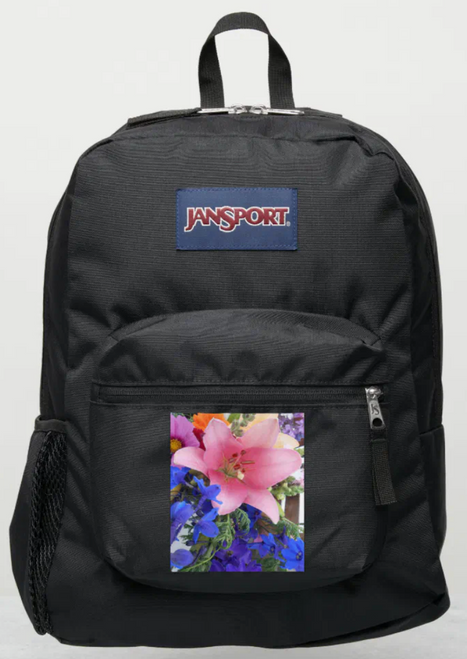 Original Painting by New York City, Fine Art Artist, Gaye Elise Beda, JanSport Backpacks, www.gayeelisebeda.store  Check it out.
