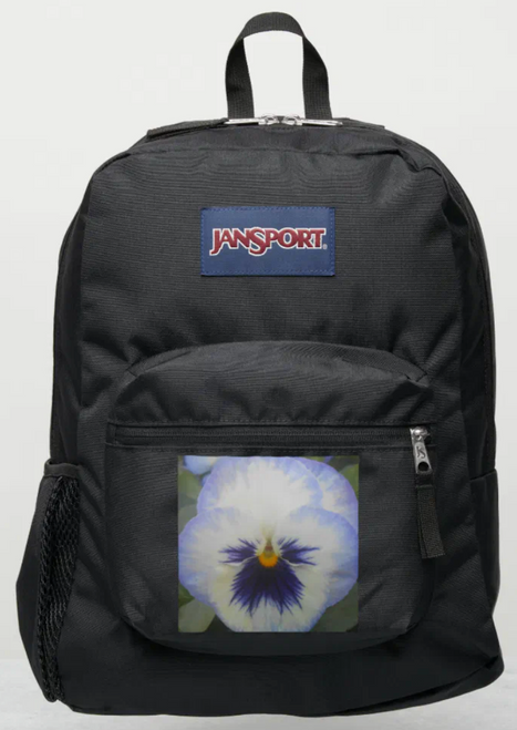 Original Photo by New York City, Fine Art Artist, Gaye Elise Beda, JanSport Backpacks, www.gayeelisebeda.store  Check it out. 
