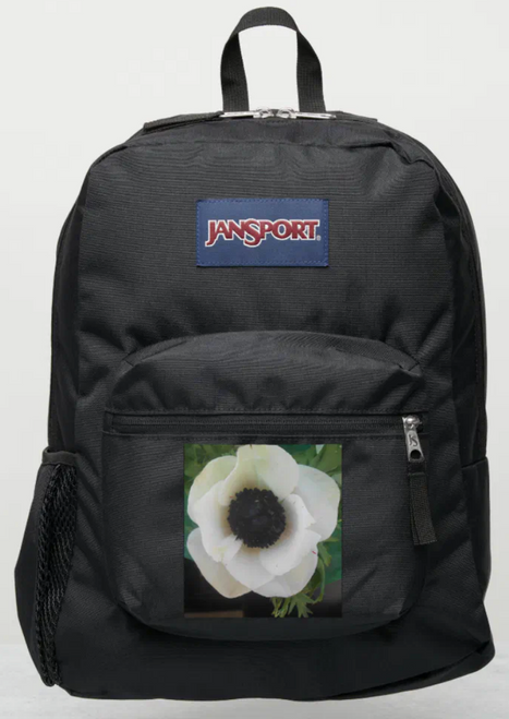 Original Photo by New York City, Fine Art Artist, Gaye Elise Beda, JanSport Backpacks, www.gayeelisebeda.store  Check it out. 
