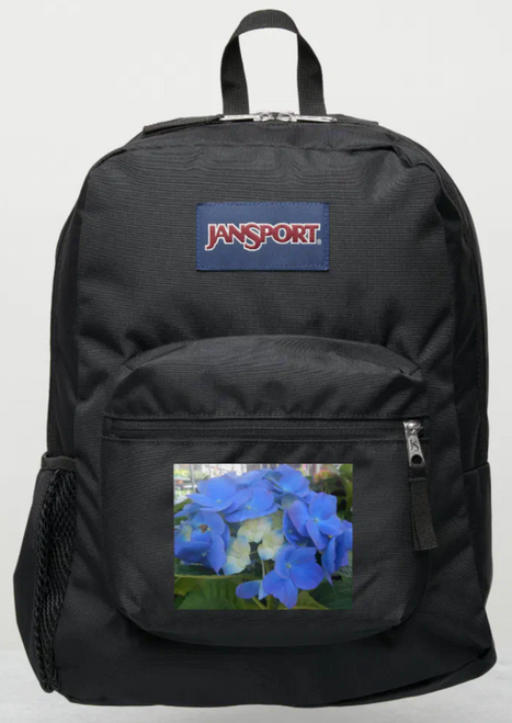 Original Photo by New York City, Fine Art Artist, Gaye Elise Beda, JanSport Backpacks, www.gayeelisebeda.store  Check it out. 