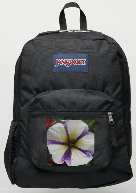 Original Photo by New York City, Fine Art Artist, Gaye Elise Beda, JanSport Backpacks, www.gayeelisebeda.store  Check it out.