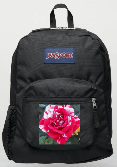Original Photo by New York City, Fine Art Artist, Gaye Elise Beda, JanSport Backpacks, www.gayeelisebeda.store  Check it out. 