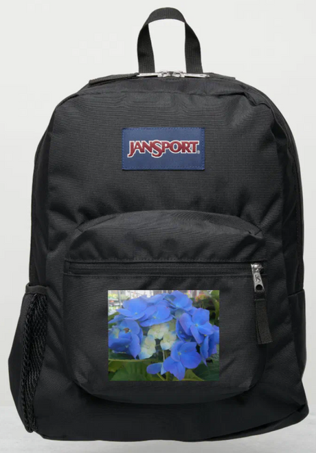 Original Photo by New York City, Fine Art Artist, Gaye Elise Beda, JanSport Backpacks, www.gayeelisebeda.store  Check it out. 