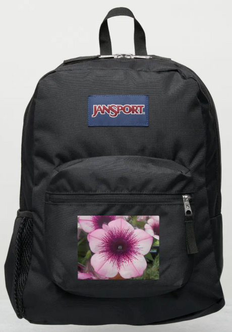 Original Photo by New York City, Fine Art Artist, Gaye Elise Beda, JanSport Backpacks, www.gayeelisebeda.store  Check it out. 