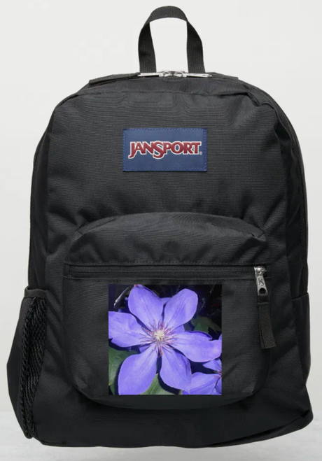 Original Photography by New York City, Fine Art Artist, Gaye Elise Beda, JanSport Backpacks, www.gayeelisebeda.store  Check it out. 