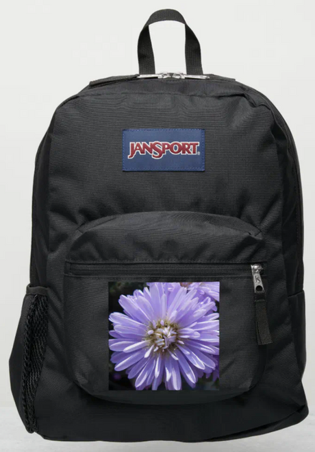 Original Photography by New York City, Fine Art Artist, Gaye Elise Beda, JanSport Backpacks, www.gayeelisebeda.store  Check it out. 