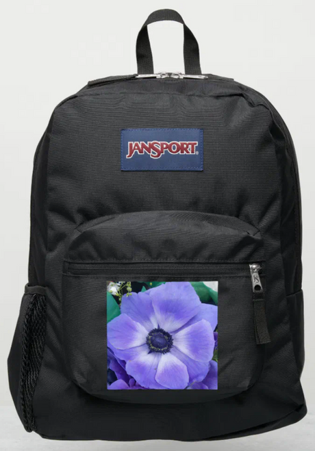 Original Photography by New York City, Fine Art Artist, Gaye Elise Beda, JanSport Backpacks, www.gayeelisebeda.store  Check it out. 