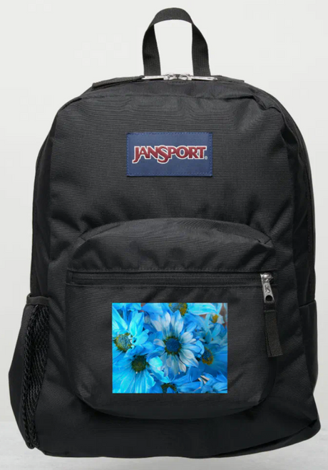 Original Photography by New York City, Fine Art Artist, Gaye Elise Beda, JanSport Backpacks, www.gayeelisebeda.store  Check it out. 