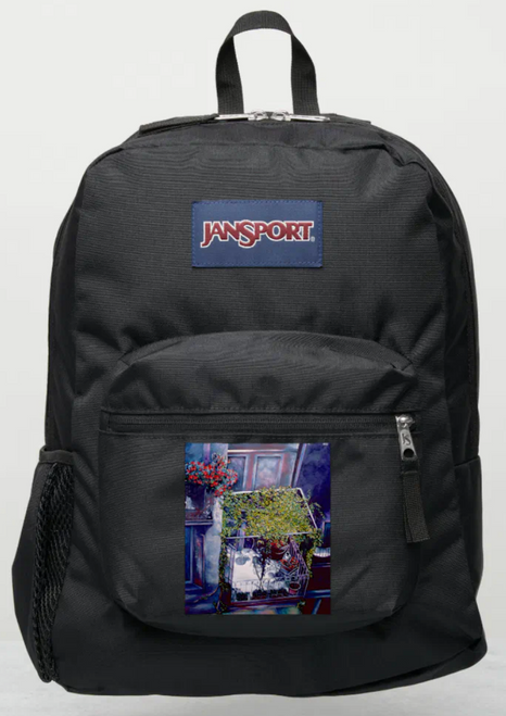 Original Painting by New York City, Fine Art Artist, Gaye Elise Beda, JanSport Backpacks, www.gayeelisebeda.store  Check it out.