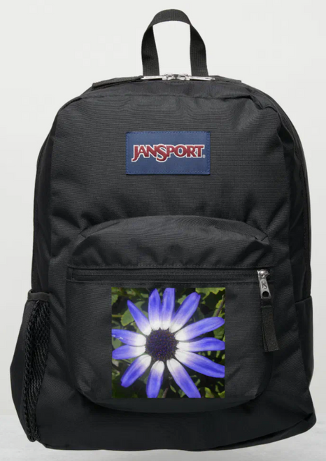 Original Photography by New York City, Fine Art Artist, Gaye Elise Beda, JanSport Backpacks, www.gayeelisebeda.store  Check it out. 