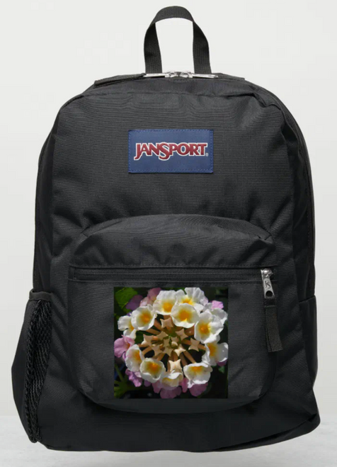Original Photography by New York City, Fine Art Artist, Gaye Elise Beda, JanSport Backpacks, www.gayeelisebeda.store  Check it out. 