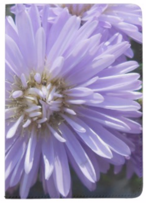 Original Photo by New York City Artist, Gaye Elise Beda.  www.gayeelisebeda.store     Check it out.