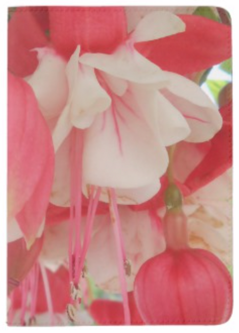 Photo by New York City Artist, Gaye Elise Beda.    Check it out. www.gayeelisebeda.store  Photo by New York City Artist, Gaye Elise Beda.    Check it out. www.gayeelisebeda.store