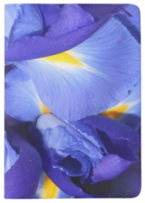 Photo by New York City Artist, Gaye Elise Beda.    Check it out. www.gayeelisebeda.store 