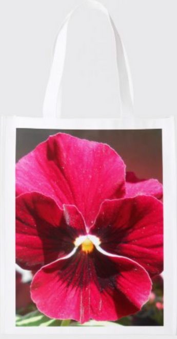 Original Photo by New York City Artist, Gaye Elise Beda.    Check it out. www.gayeelisebeda.store            Re-useable Grocery Bags