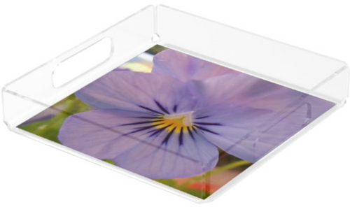 Photo by New York City Artist, Gaye Elise Beda. acrylic trays www.gayeelisebeda.store Check it out. 