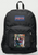 Original Painting by New York City, Fine Art Artist, Gaye Elise Beda, JanSport Backpacks, www.gayeelisebeda.store  Check it out.