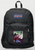 Original Painting by New York City, Fine Art Artist, Gaye Elise Beda, JanSport Backpacks, www.gayeelisebeda.store  Check it out.