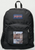 Original Painting by New York City, Fine Art Artist, Gaye Elise Beda, JanSport Backpacks, www.gayeelisebeda.store  Check it out.