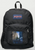 Original Painting by New York City, Fine Art Artist, Gaye Elise Beda, JanSport Backpacks, www.gayeelisebeda.store  Check it out.
