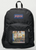 Original Painting by New York City, Fine Art Artist, Gaye Elise Beda, JanSport Backpacks, www.gayeelisebeda.store  Check it out.