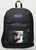 Original Painting by New York City, Fine Art Artist, Gaye Elise Beda, JanSport Backpacks, www.gayeelisebeda.store  Check it out.