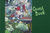 Original Painting by New York City Artist, Gaye Elise Beda. Guest Books www.gayeelisebeda.store Check it out.