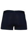 SAMPLE Wood Trunk - Black - SAMPLE