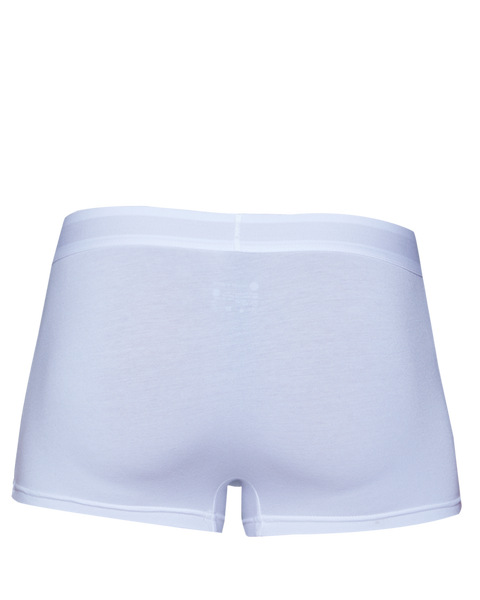 SAMPLE Wood Trunk - White - SAMPLE