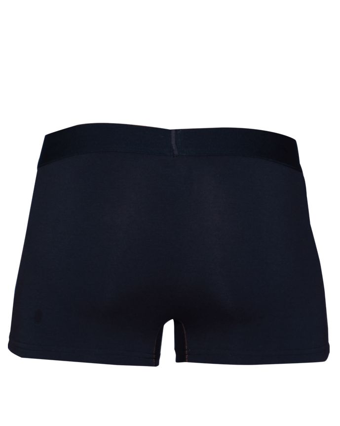 SAMPLE Wood Trunk - Black - SAMPLE