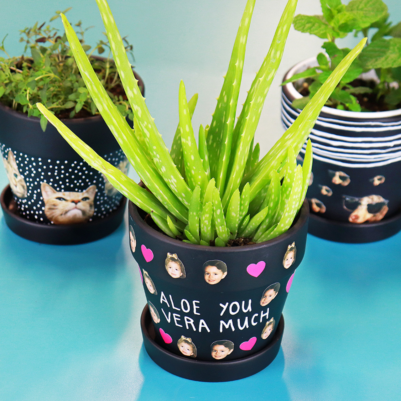DIY Personalized Chalkboard Pots