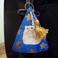 Pet Carrier Charm  DIY  
