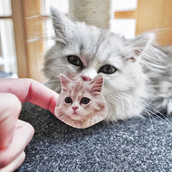 Stickers for Your New Pet