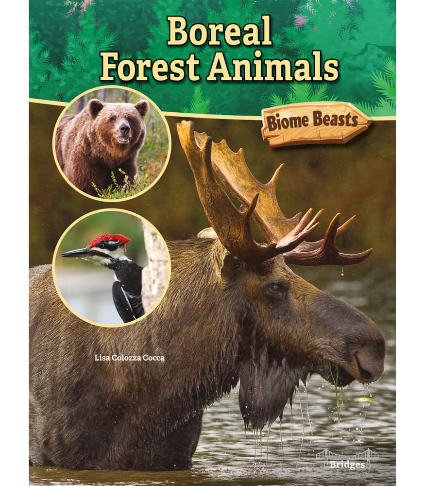 Animals of the Boreal Forest