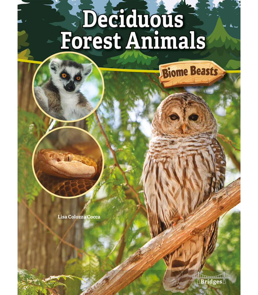 temperate deciduous forest biome animals
