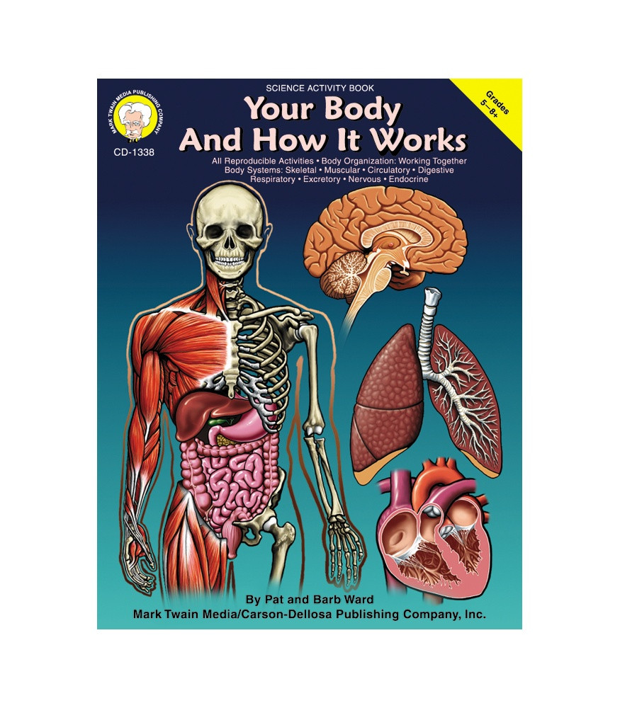 respiratory system for kids grade 5