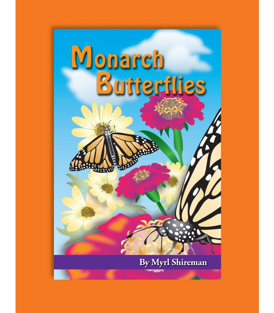 Monarch Butterfly Kit  Glassroom Online Store