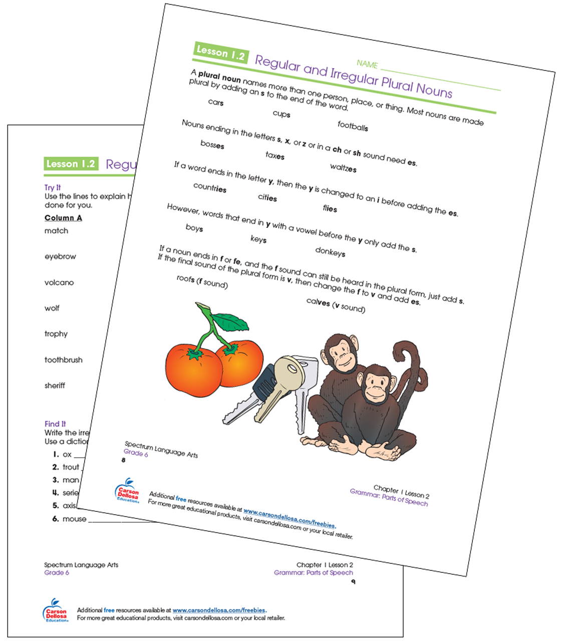 regular and irregular plural nouns free printable carson dellosa