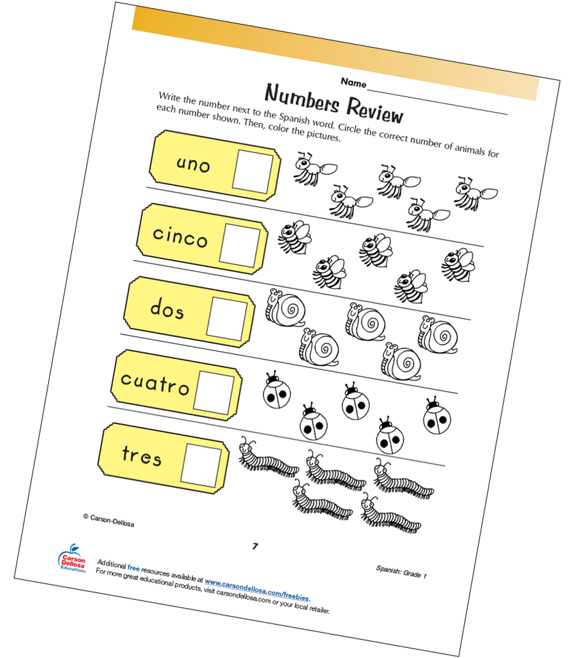 numbers 1 5 review grade 1 spanish free printable carson