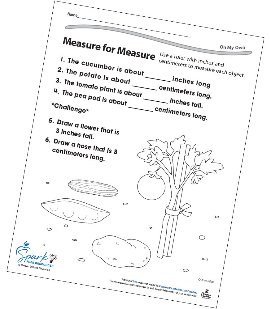 Measure for Measure Free Printable Carson Dellosa
