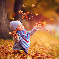 Fall is in The Air: Fall Learning Ideas