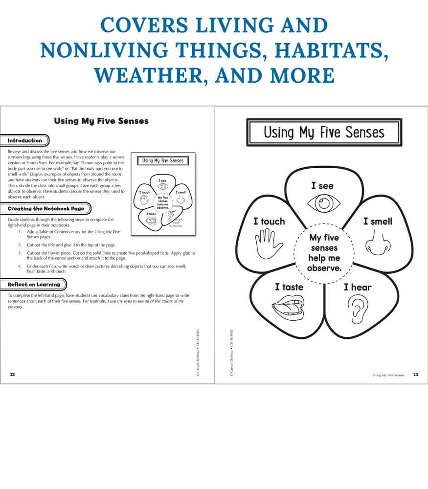 Grade 1 Interactive Notebooks: Science Resource Book Paperback