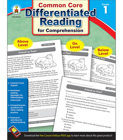 Differentiated Reading for Comprehension Resource Book image