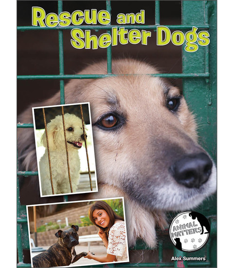 Animal Matters Rescue and Shelter Dogs Reader image