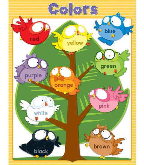 Owl Pals Colors Chart image