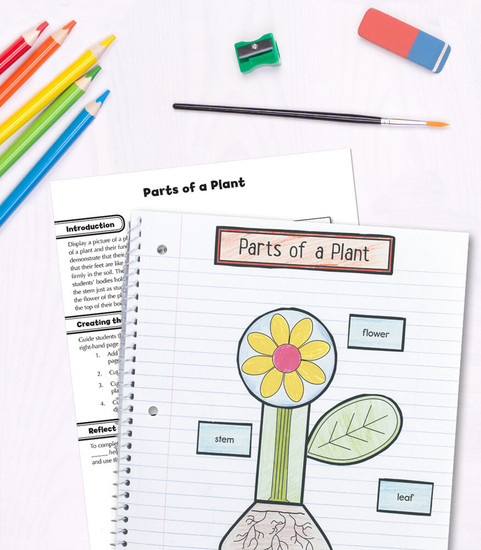 Grade 1 Interactive Notebooks: Science Resource Book Paperback