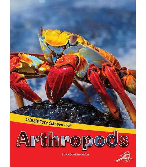 Arthropods image
