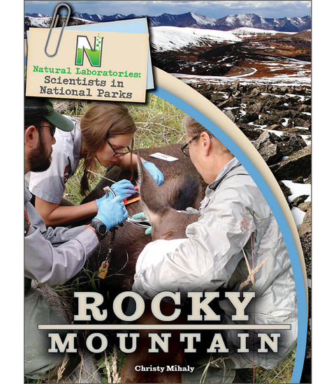 Rocky Mountain image