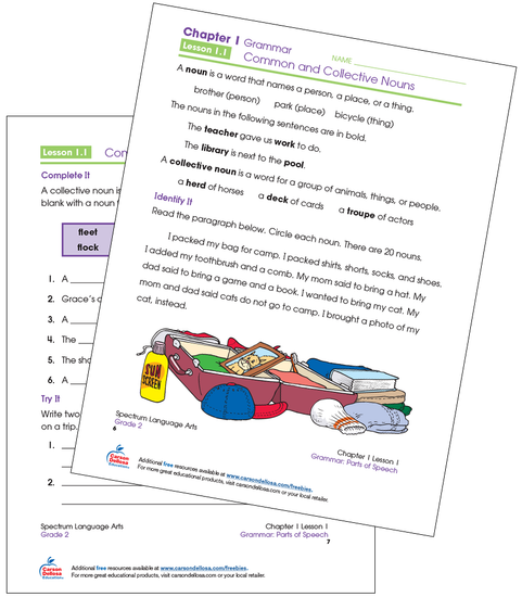 Common and Collective Nouns Grade 2 Free Printable Worksheet